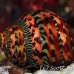 shell_nr_h_0705_png0966.jpg